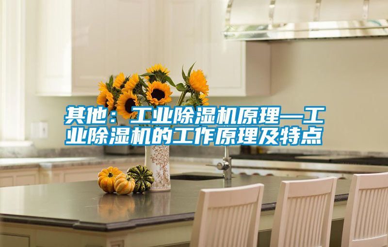 其他:工業(yè)除濕機(jī)原理—工業(yè)除濕機(jī)的工作原理及特點