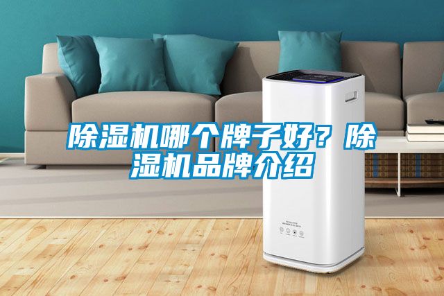 除濕機(jī)哪個牌子好？除濕機(jī)品牌介紹