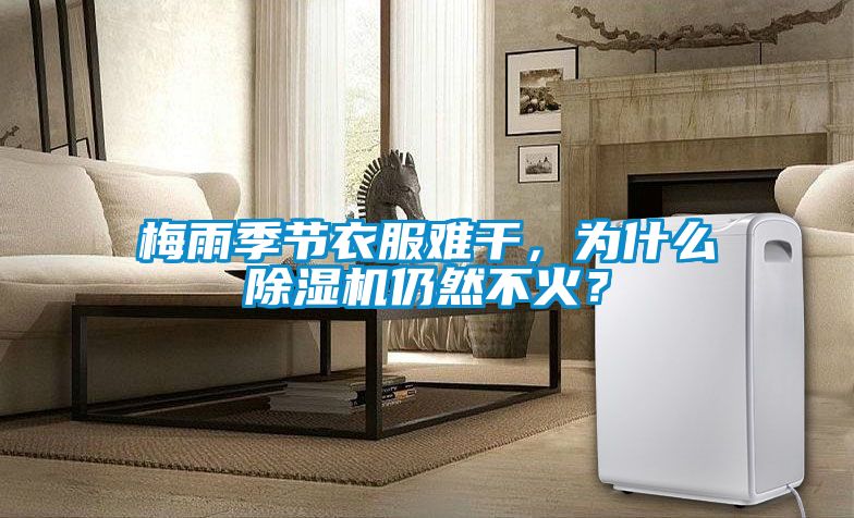 梅雨季節衣服難干，為什么除濕機仍然不火？
