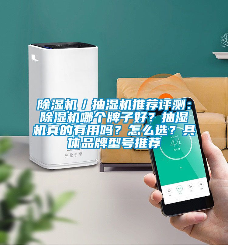 除濕機(jī)／抽濕機(jī)推薦評測：除濕機(jī)哪個牌子好？抽濕機(jī)真的有用嗎？怎么選？具體品牌型號推薦