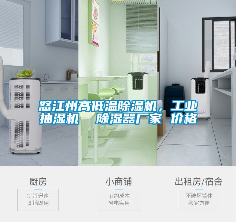 怒江州高低溫除濕機，工業(yè)抽濕機  除濕器廠家 價格